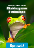 Promocja "Ekskluzywne 3 miesiące"